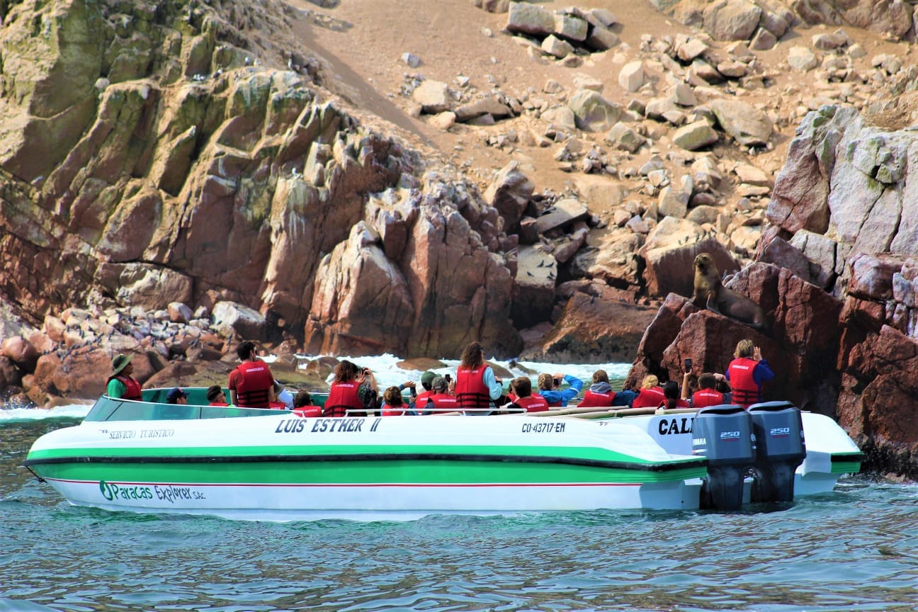 Ballestas Islands Tour