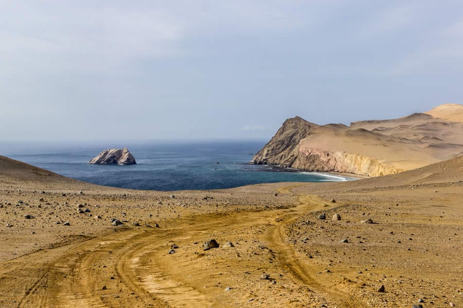 Tour Reserva Nacional de Paracas