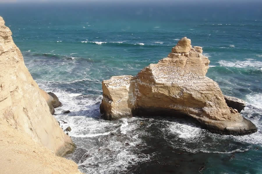 Tour Reserva Nacional de Paracas